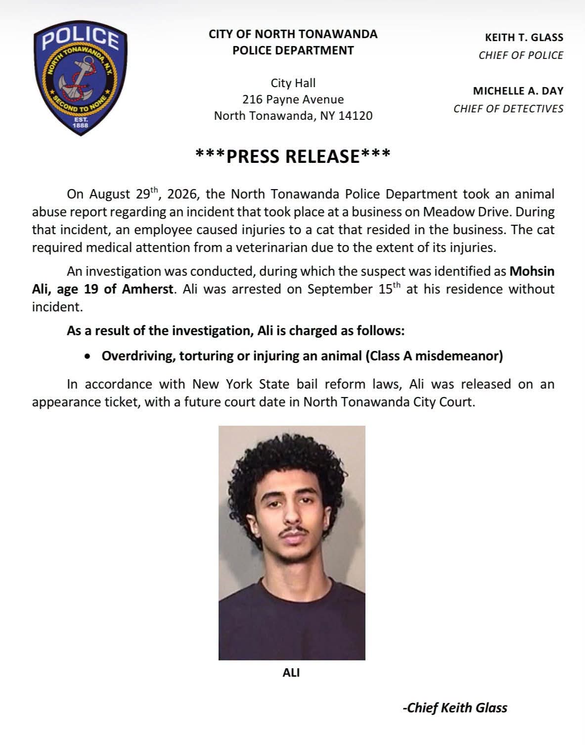 Man Arrested for Torturing Cat.