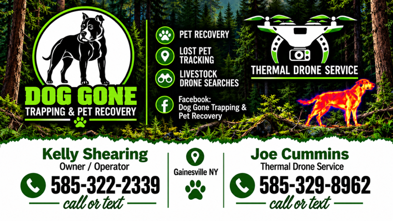 DOG GONE Trapping & Pet Recovery: Bringing Lost Dogs Home, One Rescue at a Time