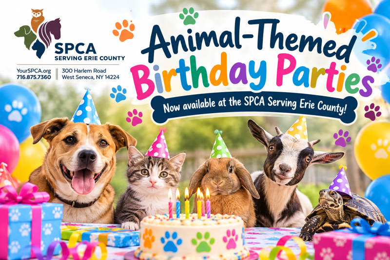 🐾🎉 The SPCA Serving Erie County Now Offering Animal-Themed Birthday Parties!